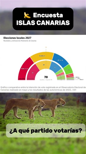 🍌 #Encuesta CANARIAS🟥 PSOE 21/24🟦 CCa 19🟦 PP 15/16🟩 VOX 7/9🟥 ASG 3🟩 AHI 2🟩 AH 0/1