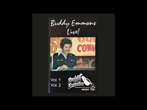 Mansion On The Hill - Buddy Emmons Live