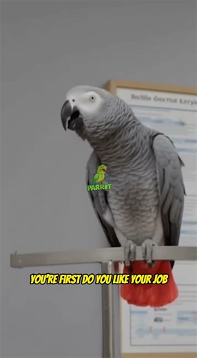 The Lie Detector Betrayed Him 💀 #parrot #talkingparrot #nonstoptalkingparrot #funny #pets #birds