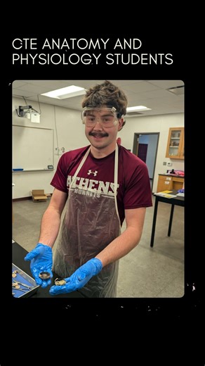 Classes like anatomy & physiology can open students to the possibility of pursuing careers in a medical field. #HornetNation #STEM | Athens Independent School District - Texas