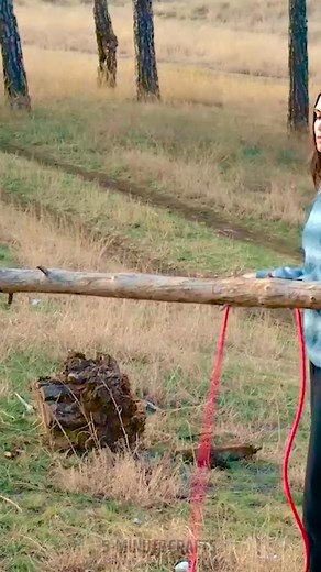 139K views · 684 reactions | Knot Tricks You Can Use Everywhere! | 5-Minute Crafts Family | Facebook