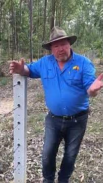 Barbed Wire and Concrete Posts