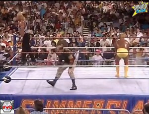 195K views · 2.9K reactions | Hulk Hogan & Ultimate Warrior vs Triangle of Terror: Sid Justice special ref. | New World Organization of Wrestling | Facebook