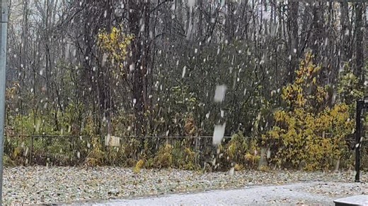 Huge flakes coming down. First snow of the year. | Barbara Early