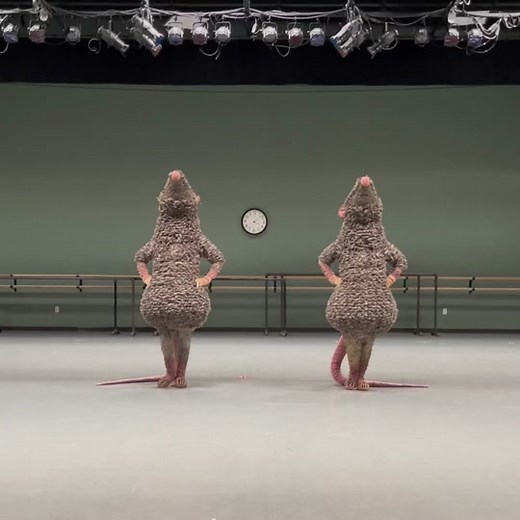 Nutcracker Ballet Rats Dance Compilation