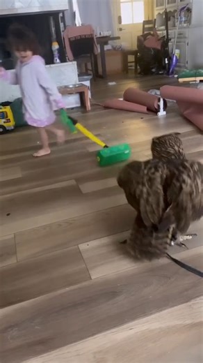 Imagine getting to say u grew up with a pet owl #Owl #OwlsOfInstagram #OwlLove #OwlLovers #OwlLife #OwlEyes #CuteOwl | Leslie D. Andrade