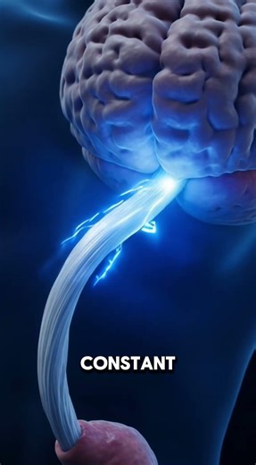 DO YOU KNOW You Have a "Second Brain"? YOUR GUT IS 🧠✨#gut health #shorts