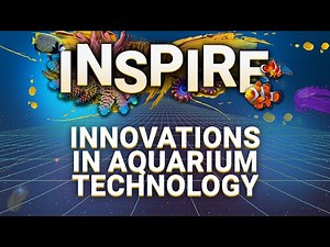 Next-Level Aquariums: The Latest Innovations in Aquarium Technology!