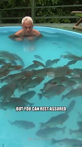 How Deadly Are Piranhas Really? | What If