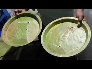 How to Make Eco-Friendly Disposable Plates from Banana Leaves | DIY Paper Products Machine Tutorial