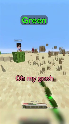 Minecraft First To Find The Color