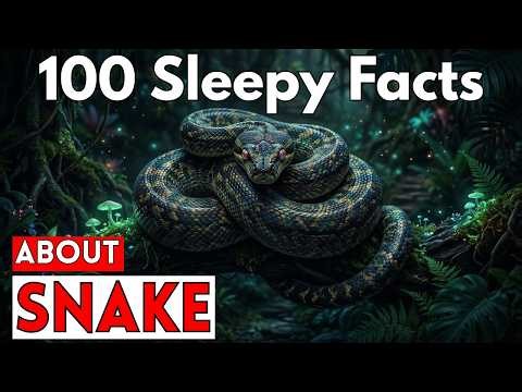 Snakes Ruled Before Dinosaurs – The Shocking 167-Million-Year History No One Teaches