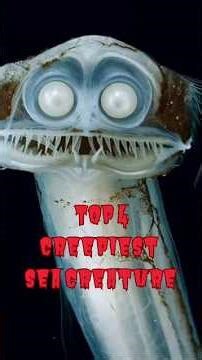 Creepiest Sea Creature That Actually Exist! #creepycreatures #seacreatures #creepy