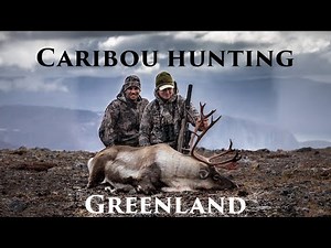 Caribou hunting Greenland