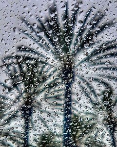 Prepare For Drenching, Palm Desert - Plus, Possible Flooding, High Winds, Power Outages