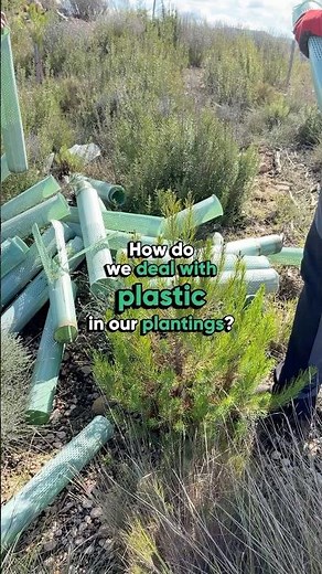 How do we deal with plastic in our plantings