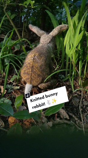 Adorable Knitted Bunny Rabbit - Do You Think It Looks Real?