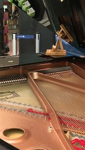 ✈️THE PILOT PIANIST🎹 Holiday travel season can be stressful, but one @united airlines pilot in Denver is spending his layovers spreading holiday cheer in the concourse. @dillonmthomas reports from Denver International Airport. @cbscolorado @denairport @cbsnews | CBS Colorado