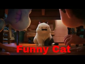 Funny Cat Machiavelli from Luca Animation Movie