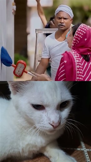 Why are you bathing this house?