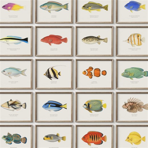 Tropical Sea Life Art Set of 20, Exotic Fish Wall Decor (printable Digital Download) - Etsy