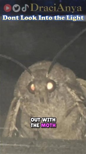 Dont look into the light of an Elder Scroll! The Moth Priets Lie!! #vtuber #TES #theelderscrolls