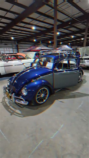 Beetle? Bug? or VW? What do you call this car?