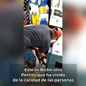 16K views · 1.5K reactions | BICHO, Resultado de la Calle. Ningún...