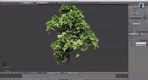 Create Realistic Animated Trees