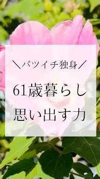 思い出す力〜61歳暮らし＼バツイチ独身／#アラ還 #60代 #60代一人暮らし #自分軸で生きる #前向きになれる言葉 #熟年離婚