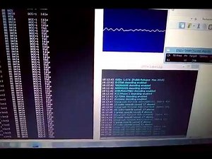 [SWL] DSD+ Decoding DMR RADIO MotoTRBO BrandMeister