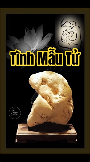 Tình Mẫu Tử #suiseki #phongthuy #caoart #stone #nhachay #tamil #cuocdoi #tinhme #vulanbáohiếu