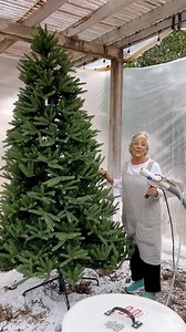 27K views · 2.7K reactions | Let us help transform your old artificial trees by flocking them! Just drop them by and we will make them festive and like new! We are happy (if local) to deliver and set up for you too! #hohoho #flockedtree #christmastrees #901 #shop901 #christmas2024 | Millstone Market & Nursery | Facebook