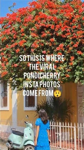 5 Most Instagrammable Spots in Pondicherry 📍 White Town Photo Guide