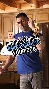 In the last video, we talked about how many people are doing a flawed approach to introducing a baby's scent to their dog.⁣ ⁣ It's understandable because many trainers are the ones teaching their clients to this flawed approach.⁣ ⁣ It usually involves a lot of excitement, the dog invading space, while giving treats and affection.⁣ ⁣ In my humble opinion, we should not be teaching dogs to get aroused and/or invade space when we are introducing the scent of the baby.⁣ ⁣ As you can see, when I intr