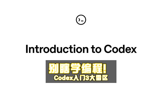 【中配】Codex入门