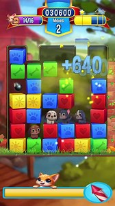 Save the Pets! 🐶 | Pet Rescue Saga