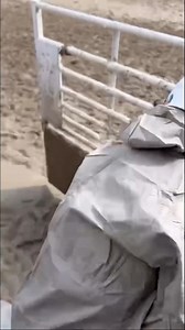 4.7K views · 126 reactions | 鸞What a matchup! Cash Toews VS.  Rambo marked an 81.5-point ride to take home the Dayton Championship Rodeo Bull Riding Title!  #RodeoLife #CashToews #Rambo #WinningRide #CerviChampionship | Cervi Championship Rodeo | Facebook