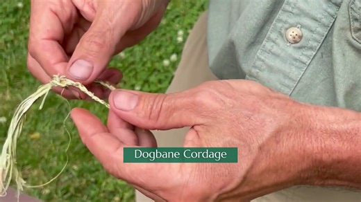 1.2K views · 50 reactions | Learn from Onsite Naturalist, Michael Ridolfo! Today we are discussing "Primitive Cordage" & its uses in the world. Produced for laces, traps, and more, cordage was valued for more than its physical uses. Indigenous cultures utilized the creation process as a source of meditation, freeing the mind from distraction. | Mohonk Mountain House | Facebook