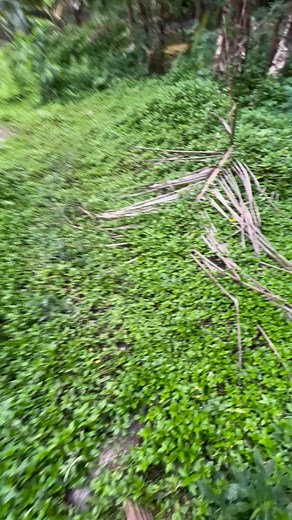 Jarpost 🥹 | Akill Ell