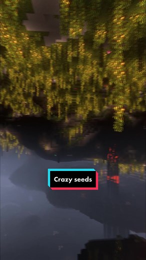 DK Reality on TikTok