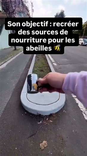 Il a semé des milliers de fleurs sauvages dans les rues de San Francisco pour nourrir les abeilles.
