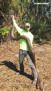 Hired To Catch An African Rock Python After Family's Dog Was Strangled | Python Cowboy Hunts