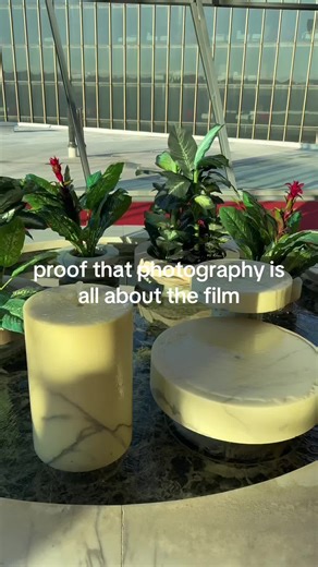 The Art of Film Photography: Tips for Stunning Shots