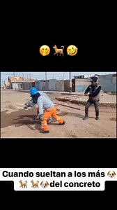 5M views · 71K reactions | Cuando suelta a los bravos #usareels #albañilesmexicanos #mexico #construction #LATAM #peru #colombia #chile #Perú #argentina | Tutoriales de Enchape de Céramicos | Facebook