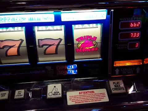 SLOT PALACE SOARING EAGLE CASINO