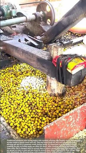 Traditional Olive Processing: Simple Tools, Rich Flavor #farmingtips #farmlife