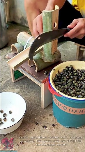 Super Fast Manual Snail Shell Cutter Tool #tools #shorts #viral #creative