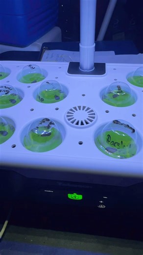 Starting an indoor herb garden 🌱 can’t wait to cook with fresh herbs!