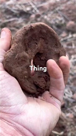 Still Not Sure On This One? #mystery #metaldetecting #viral #history #fun #shorts #funny